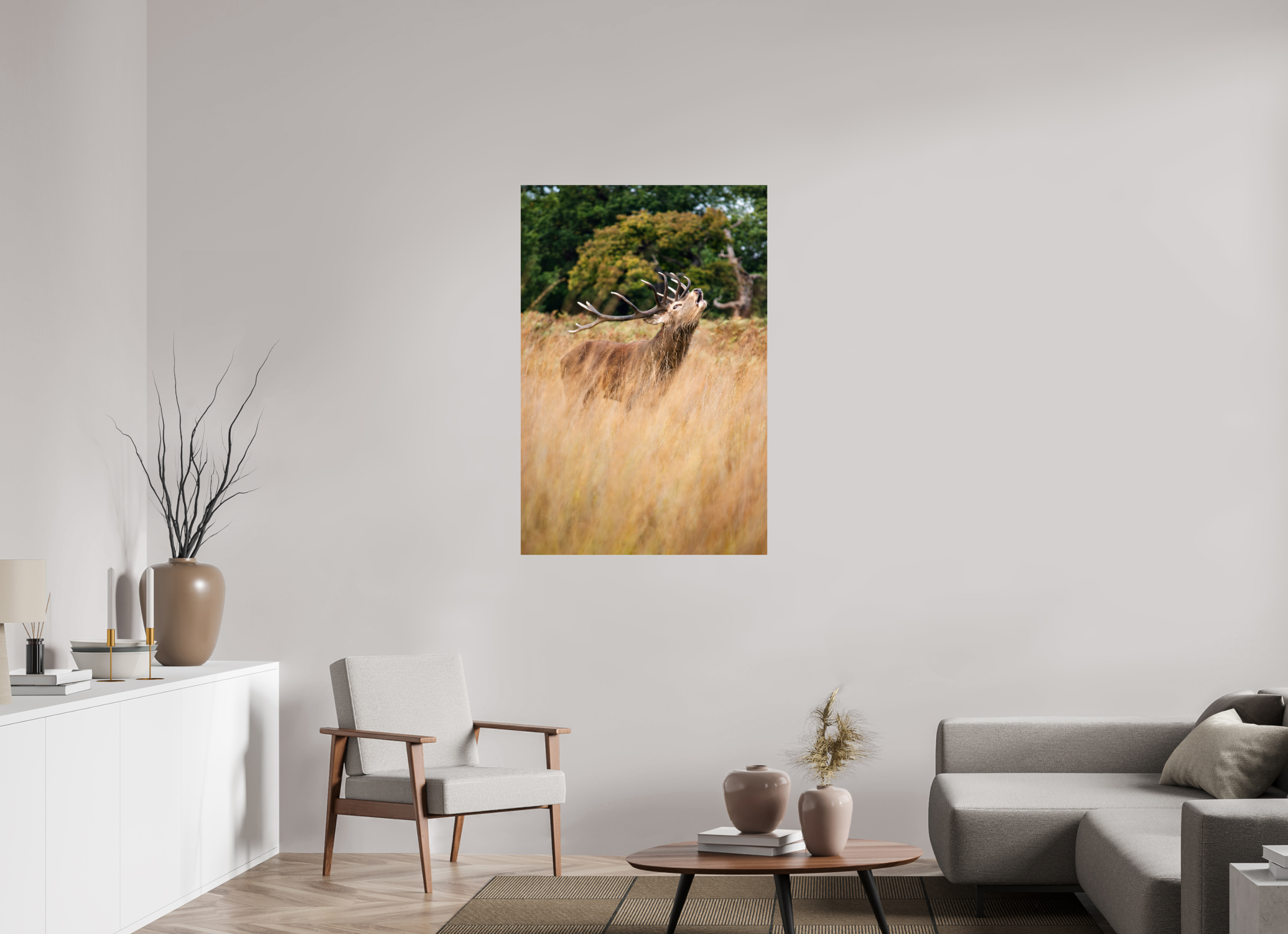 Red Deer V.
