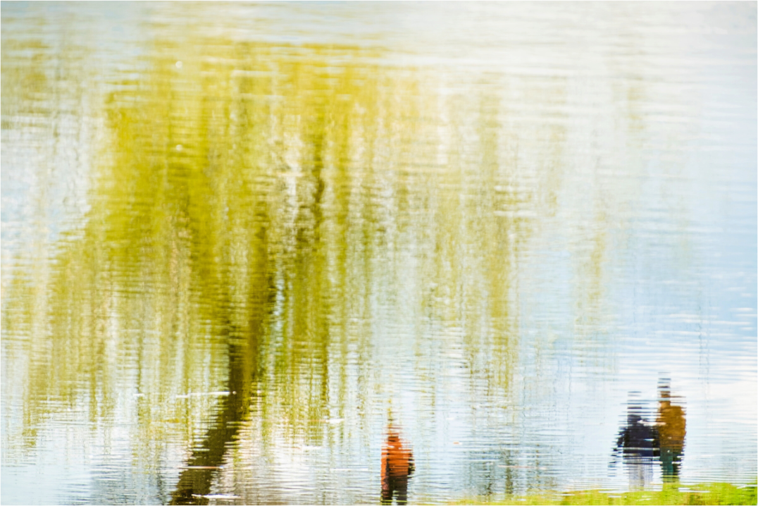 A reflection on water pictures three people walking under a willow tree.