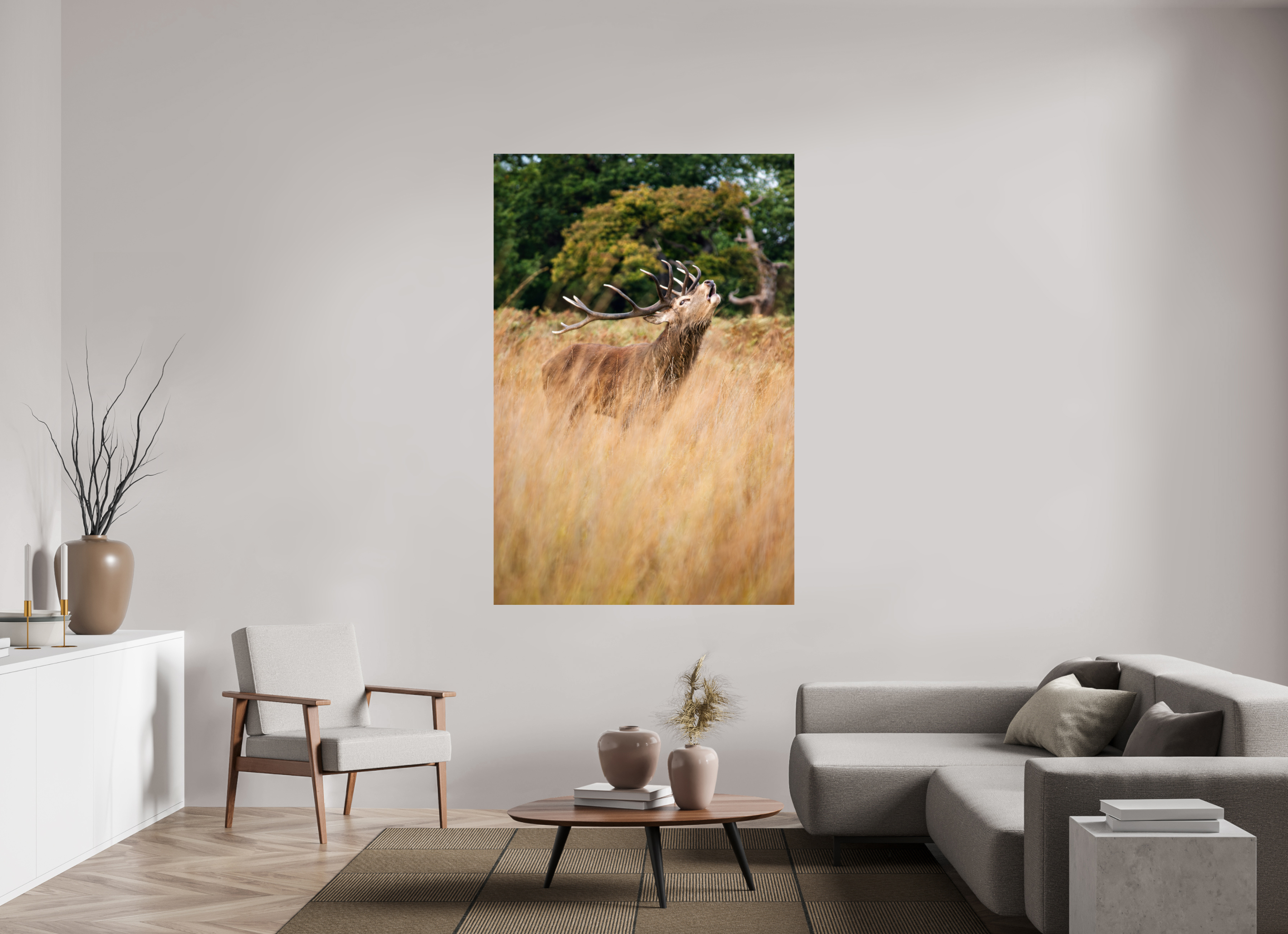 Red Deer V.