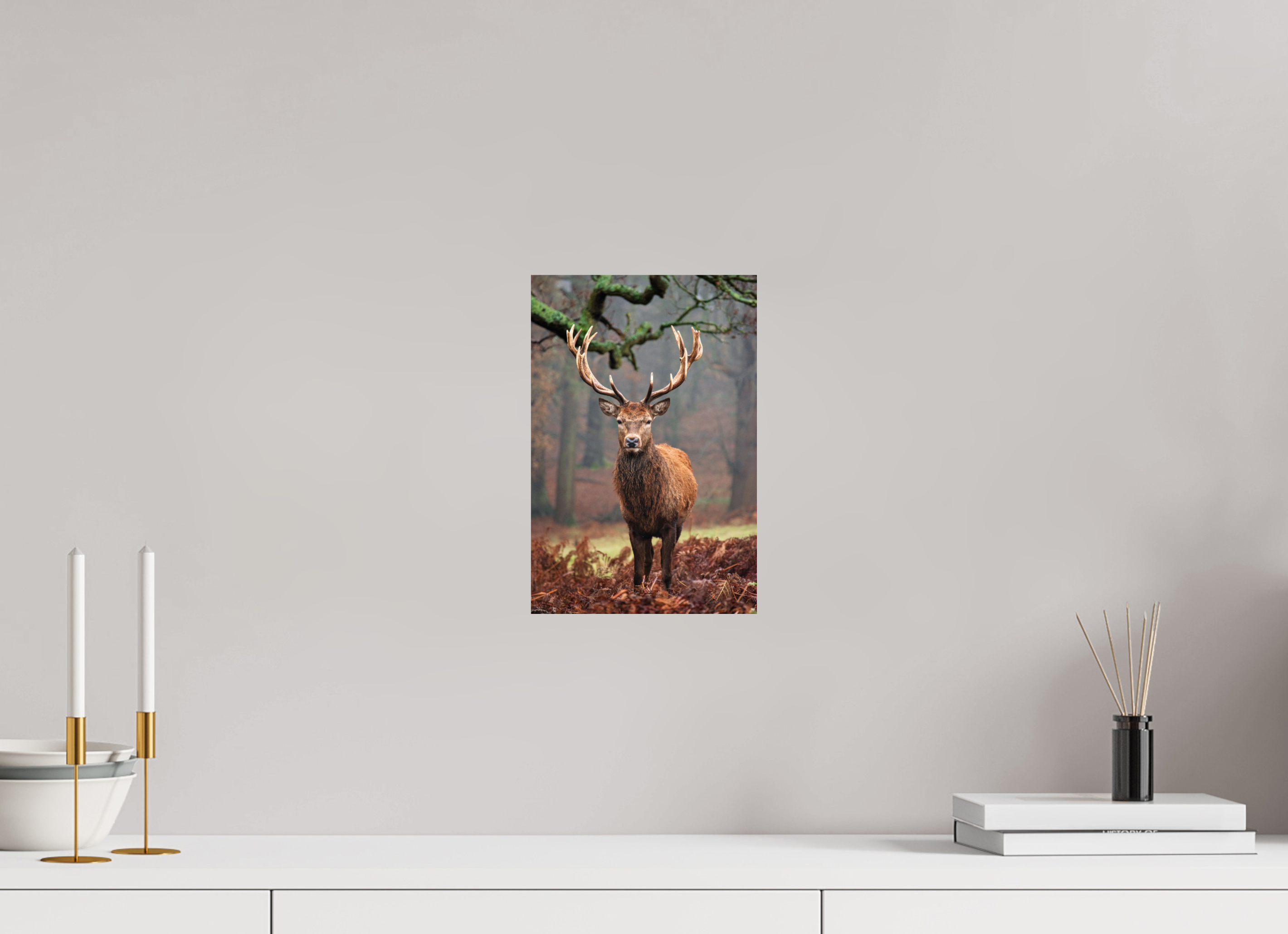 Red Deer II.