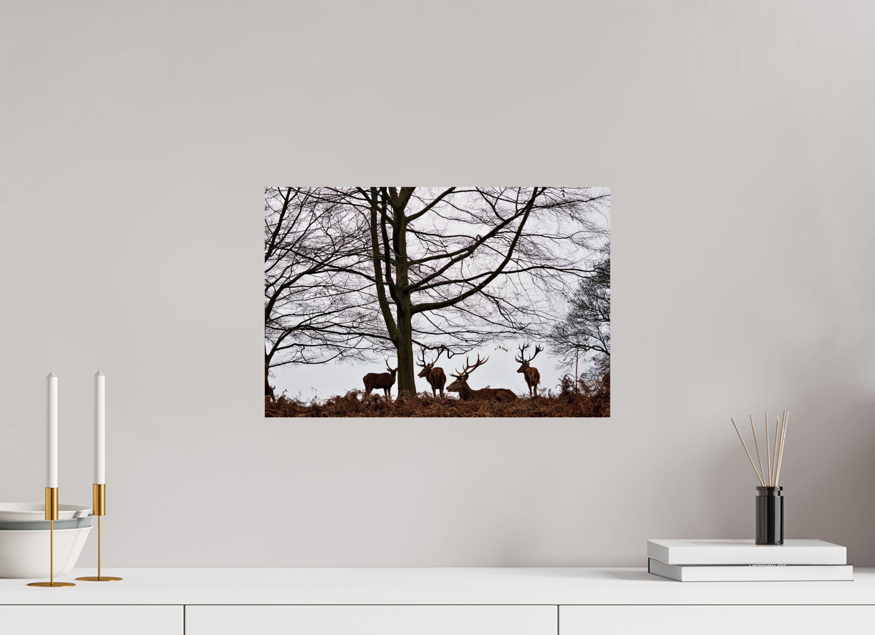 Red Deer VI.