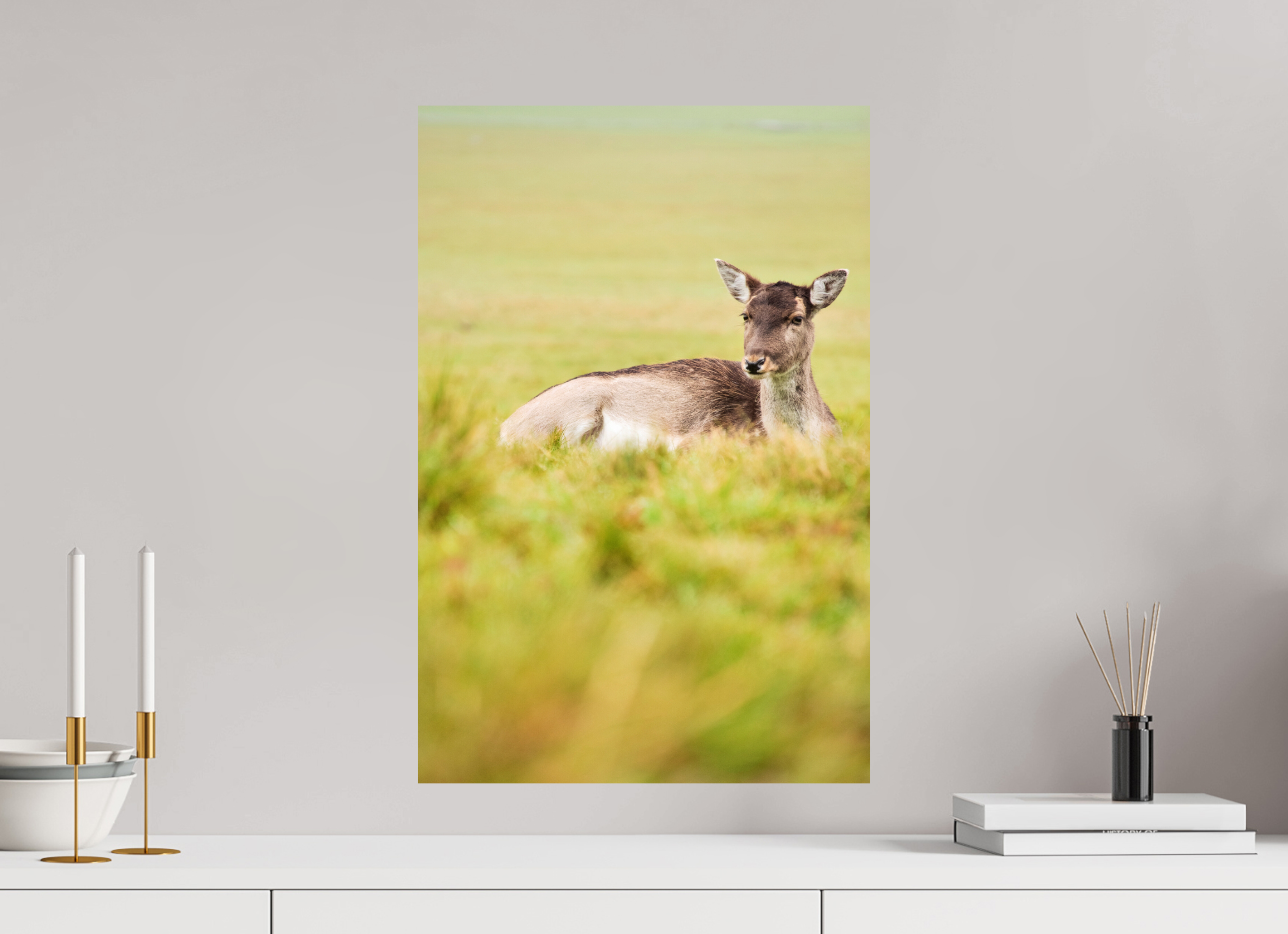 Fallow Deer I.