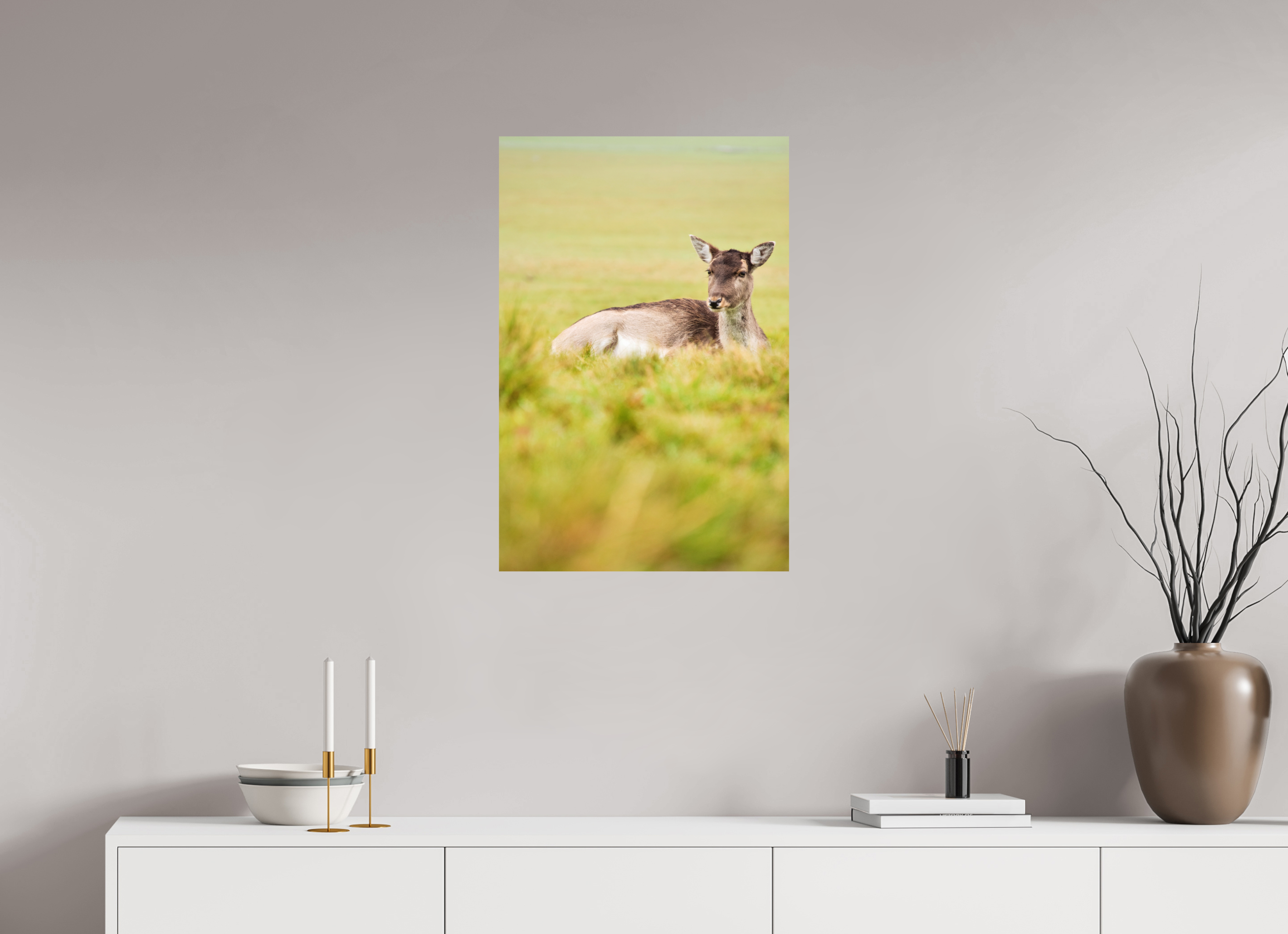 Fallow Deer I.