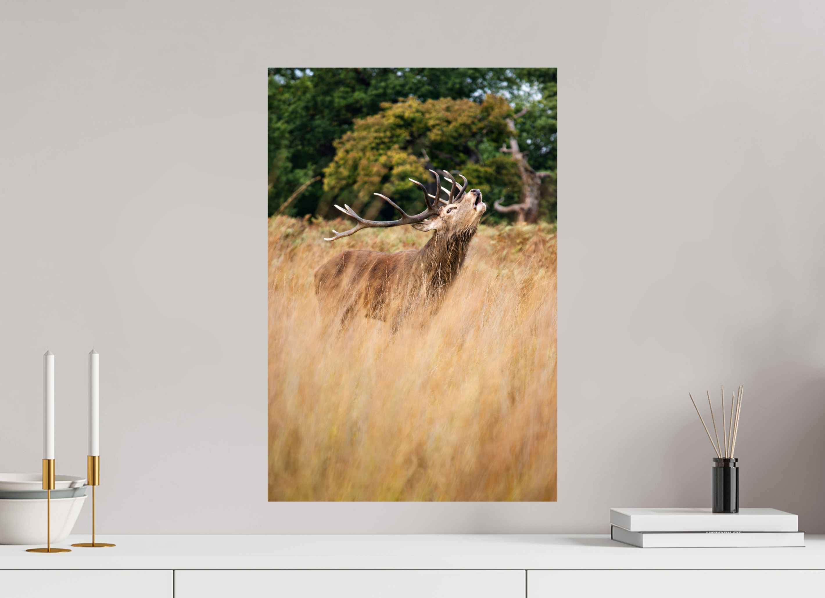 Red Deer V.