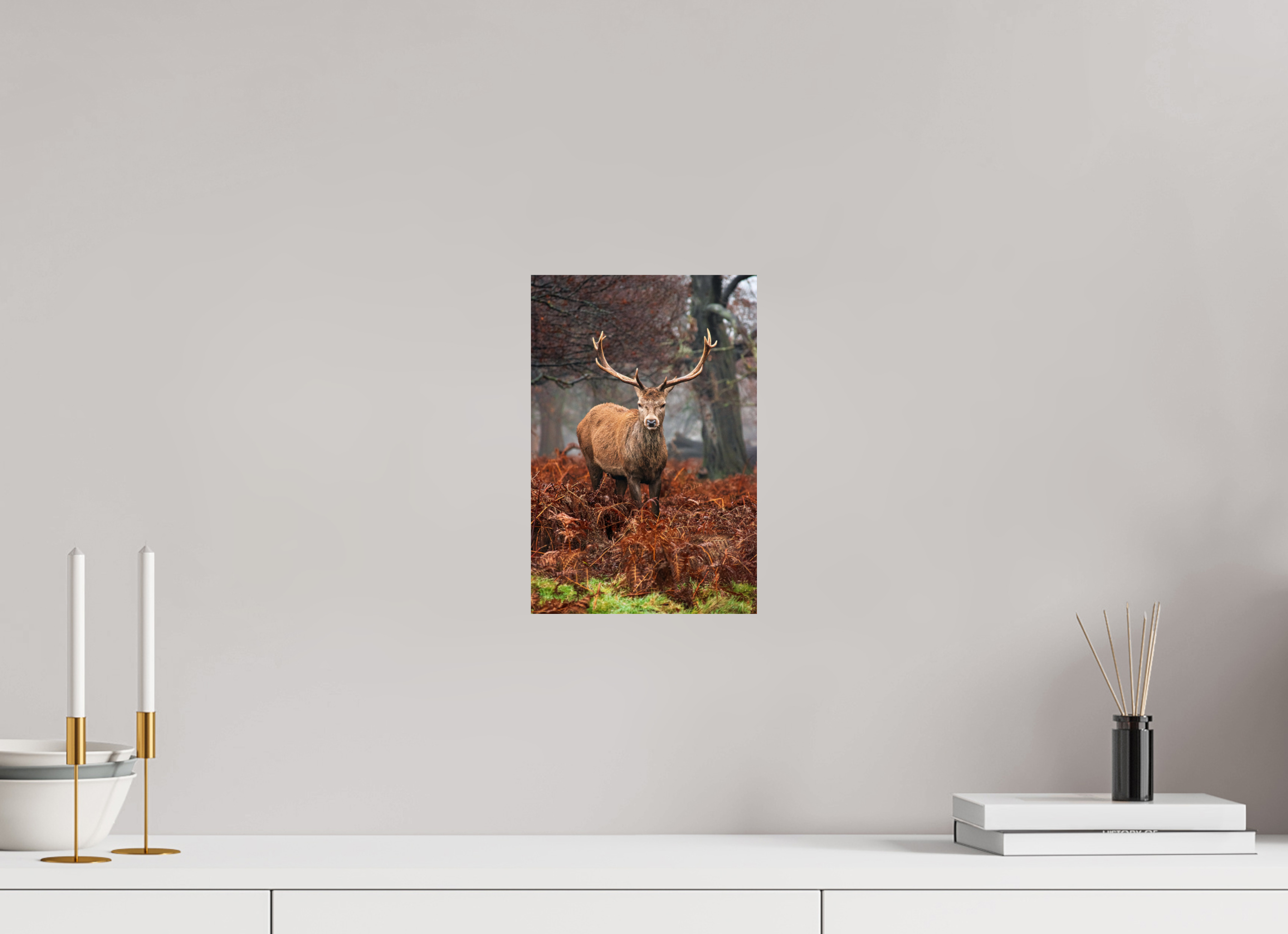 Red Deer IV.