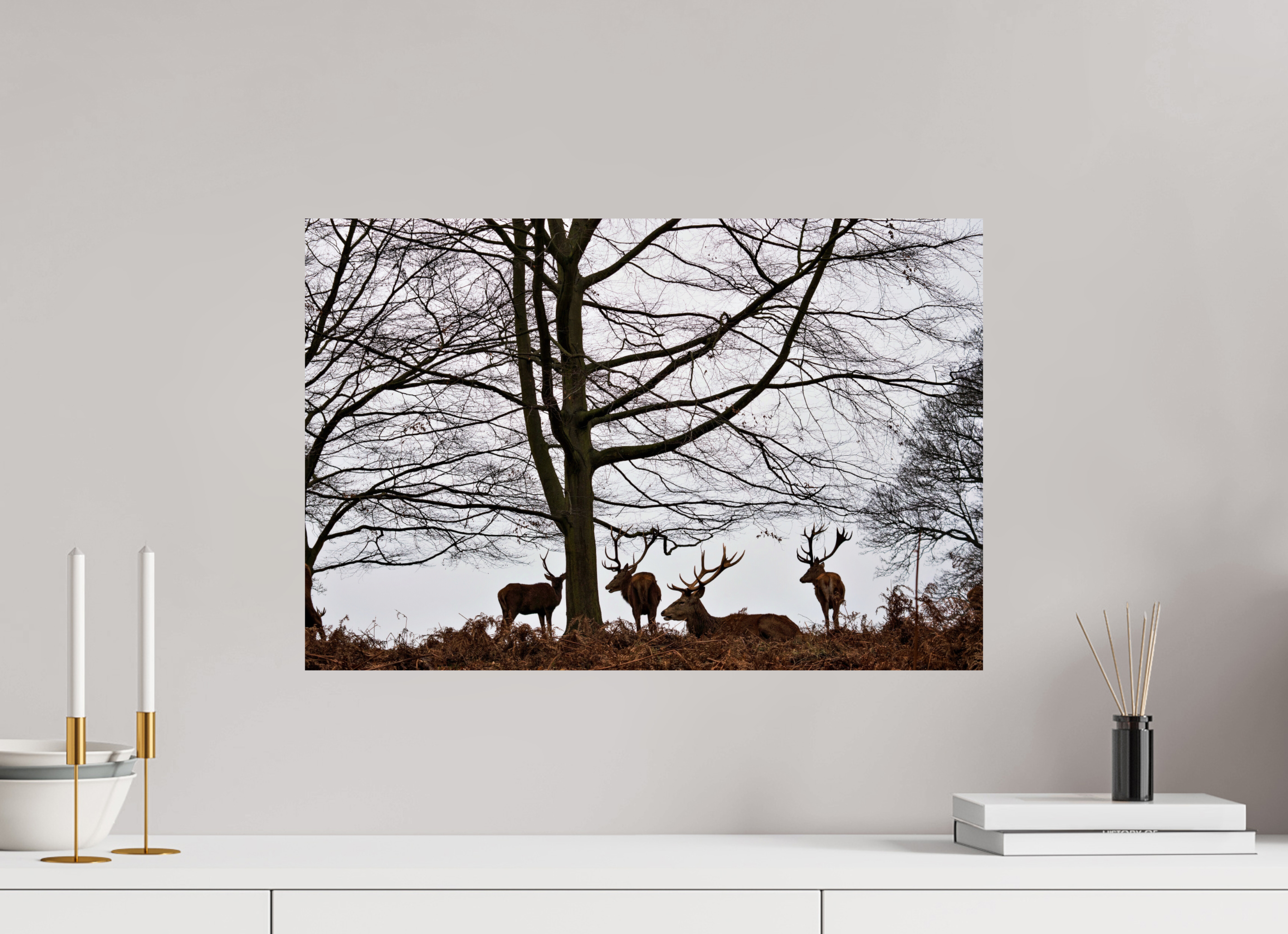 Red Deer VI.
