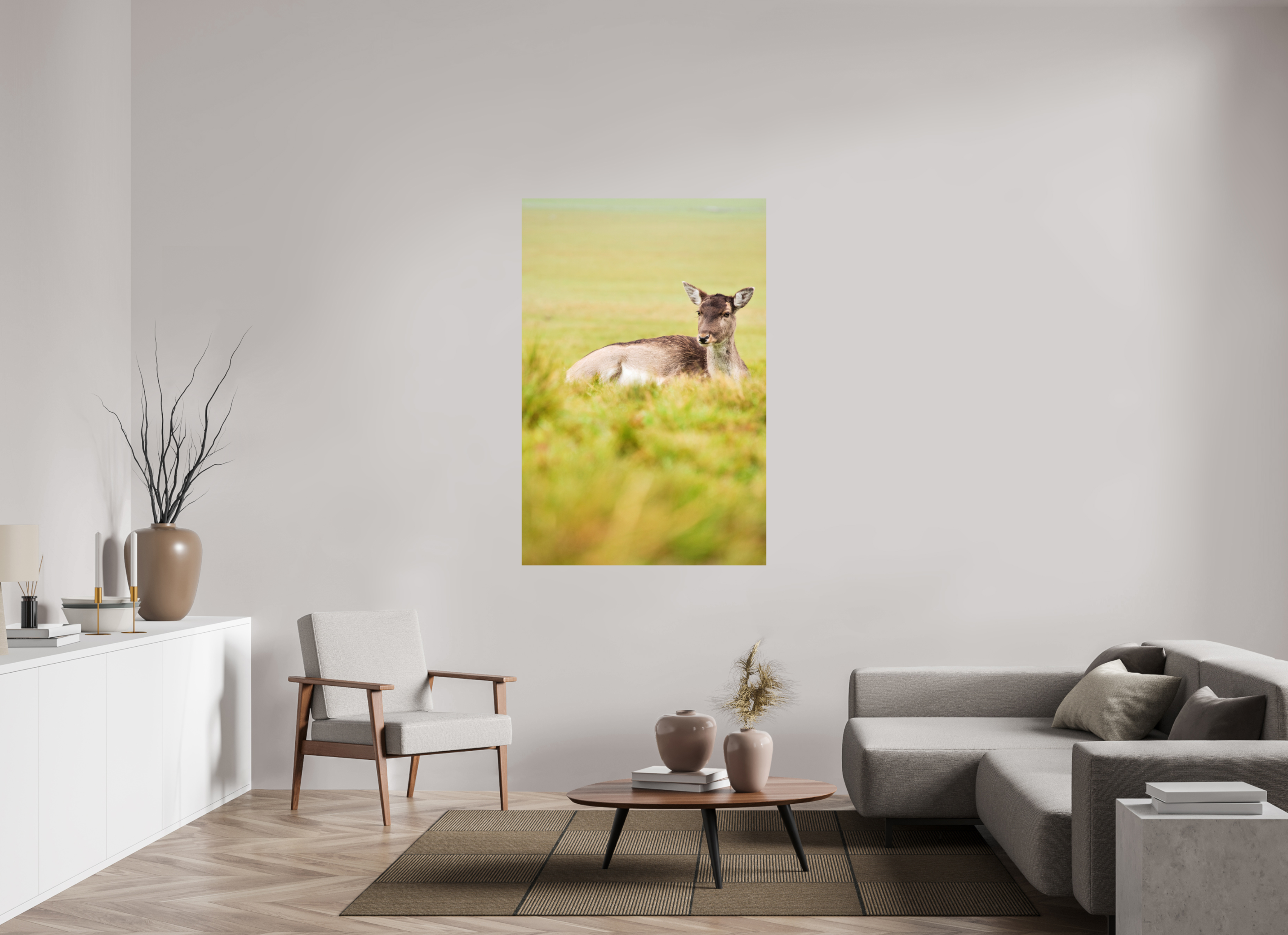 Fallow Deer I.