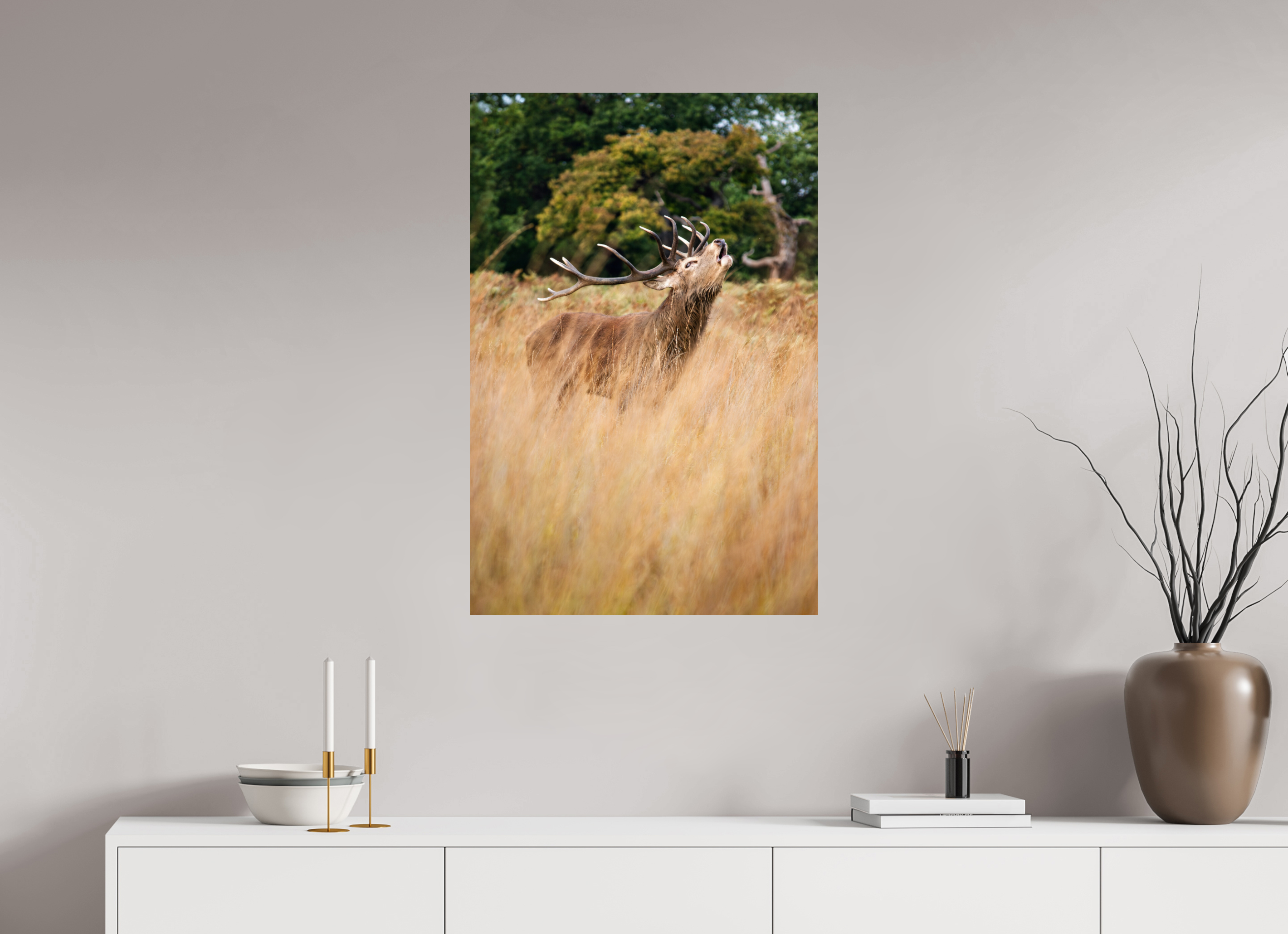 Red Deer V.