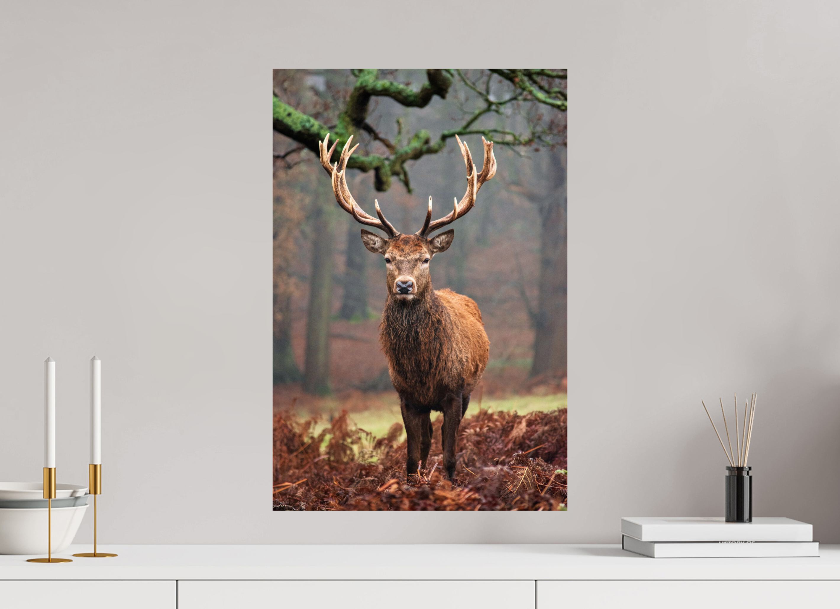 Red Deer II.