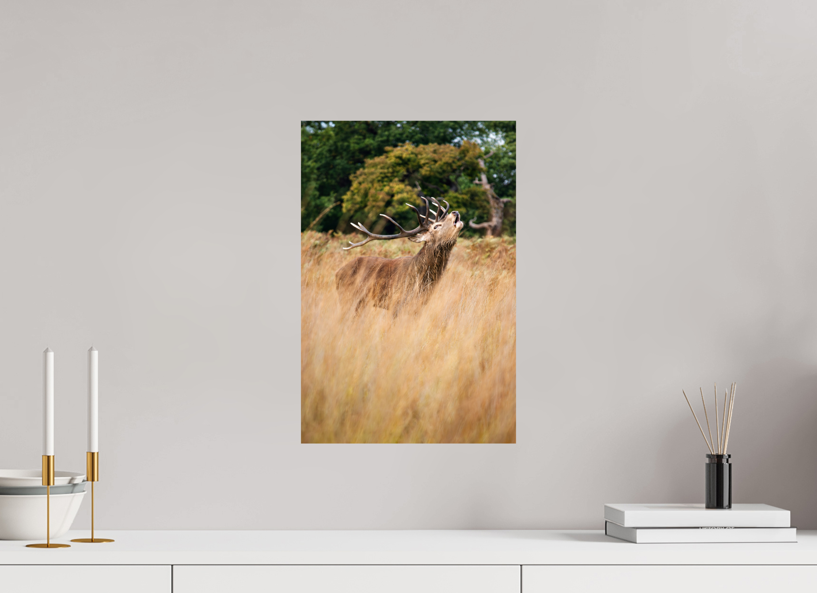 Red Deer V.