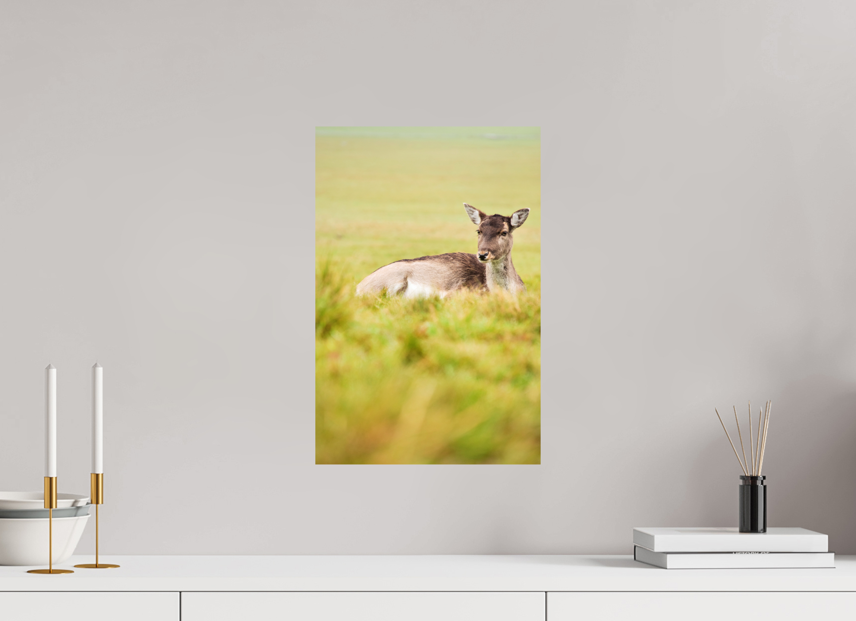 Fallow Deer I.