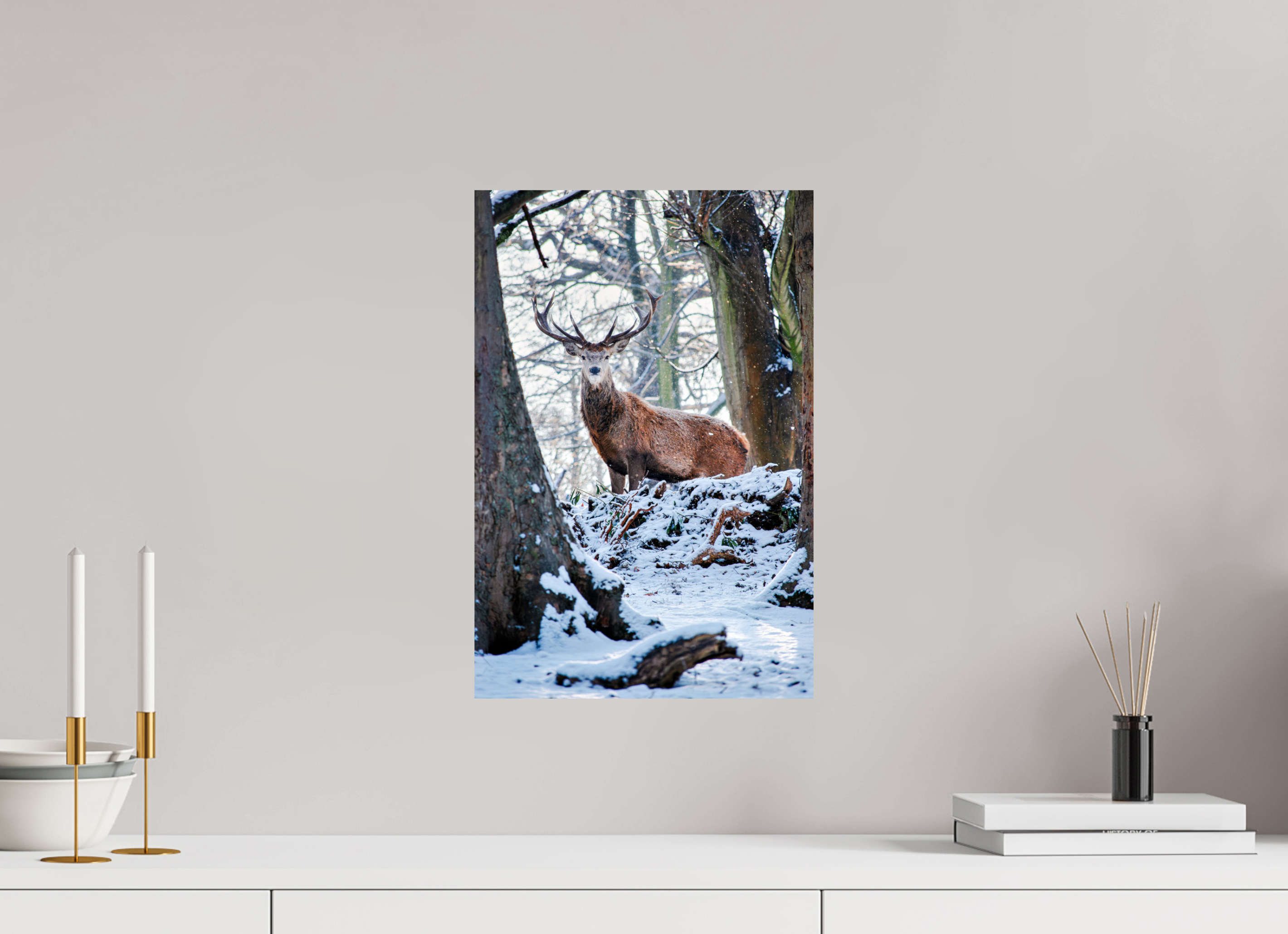 Red Deer III.