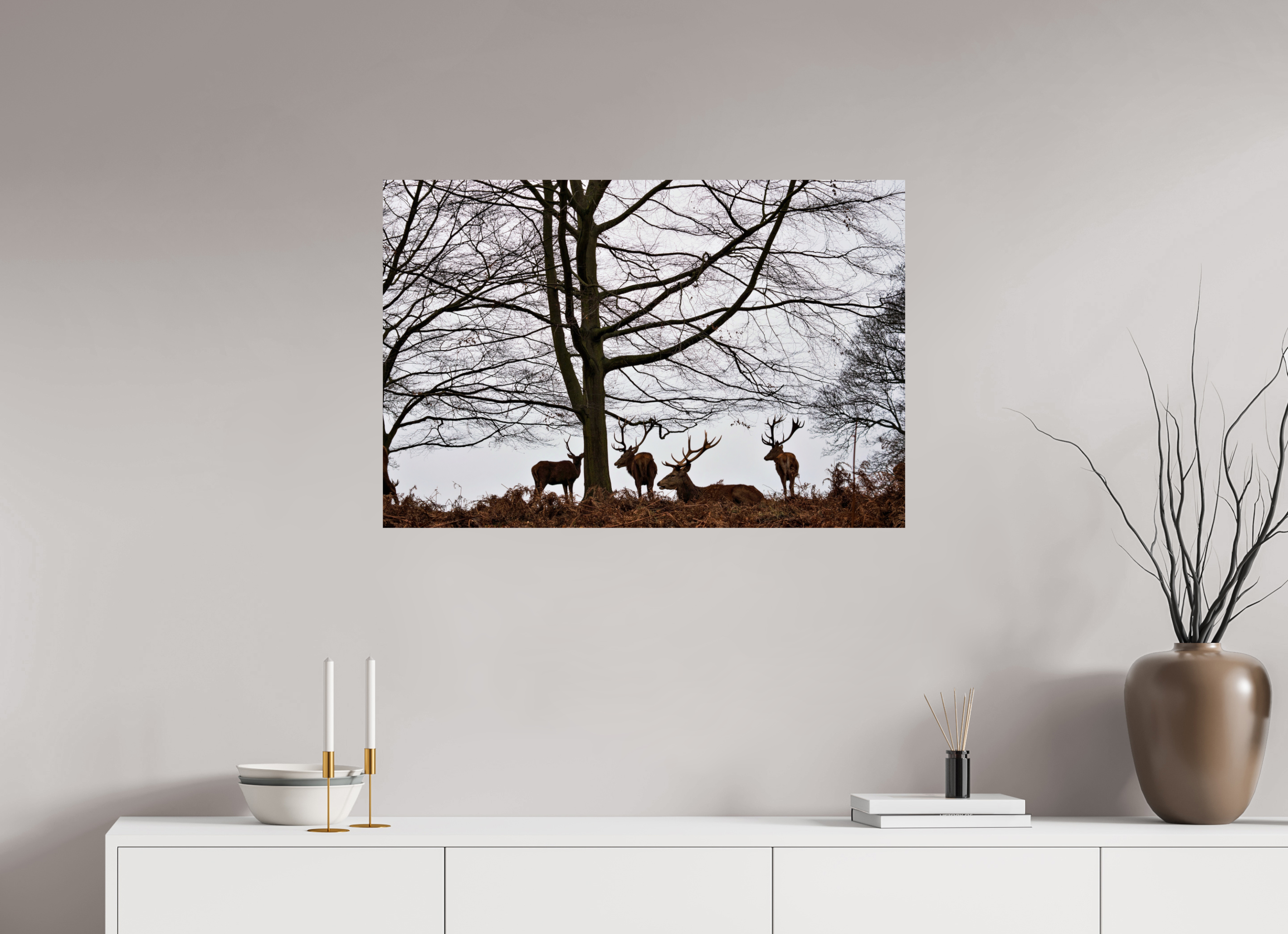 Red Deer VI.