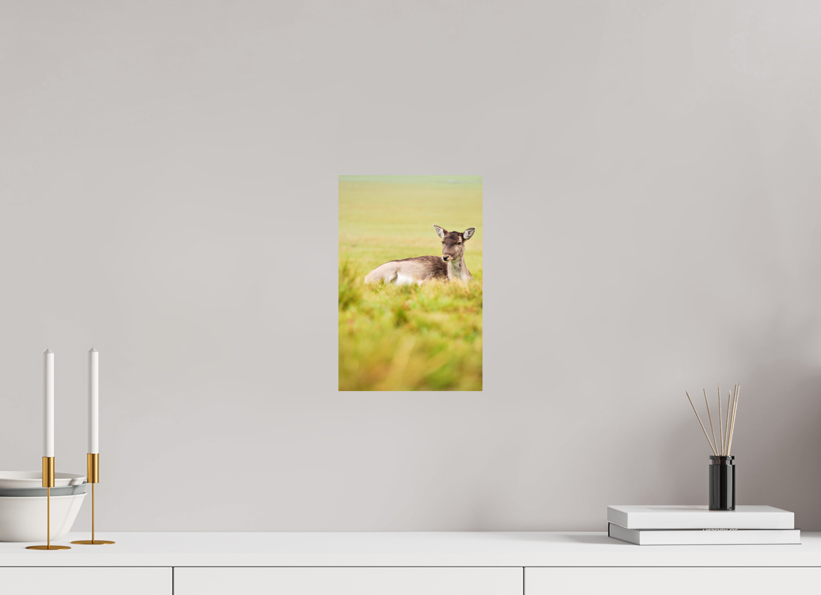 Fallow Deer I.