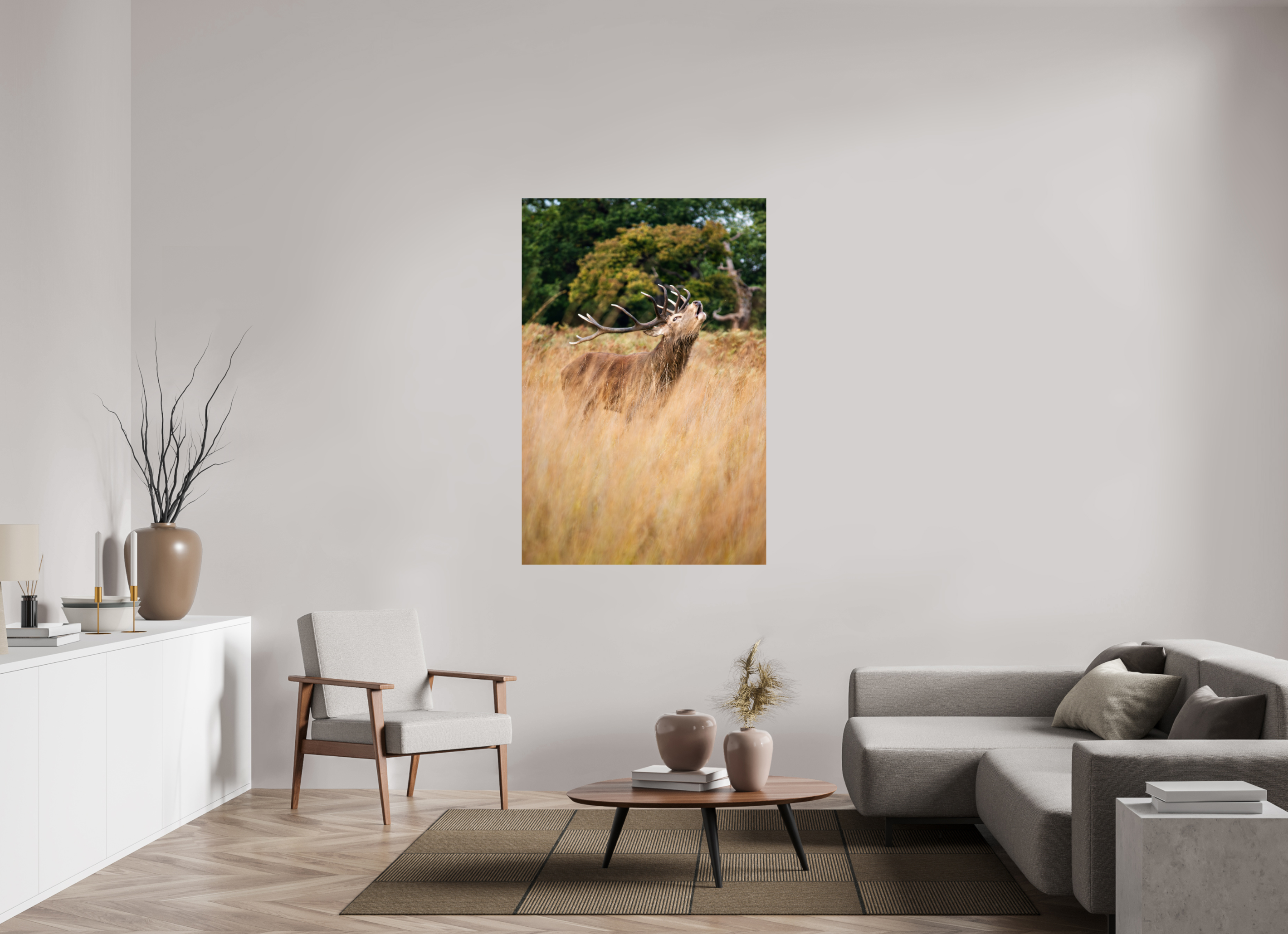 Red Deer V.