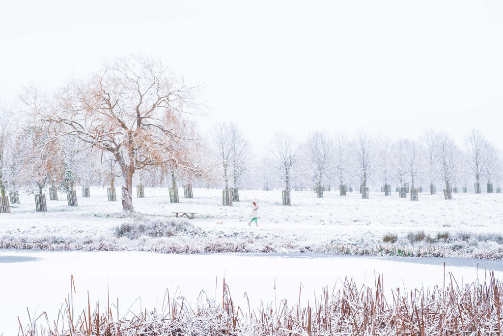 Person walking on a snow-covered path with trees and a lake in the background