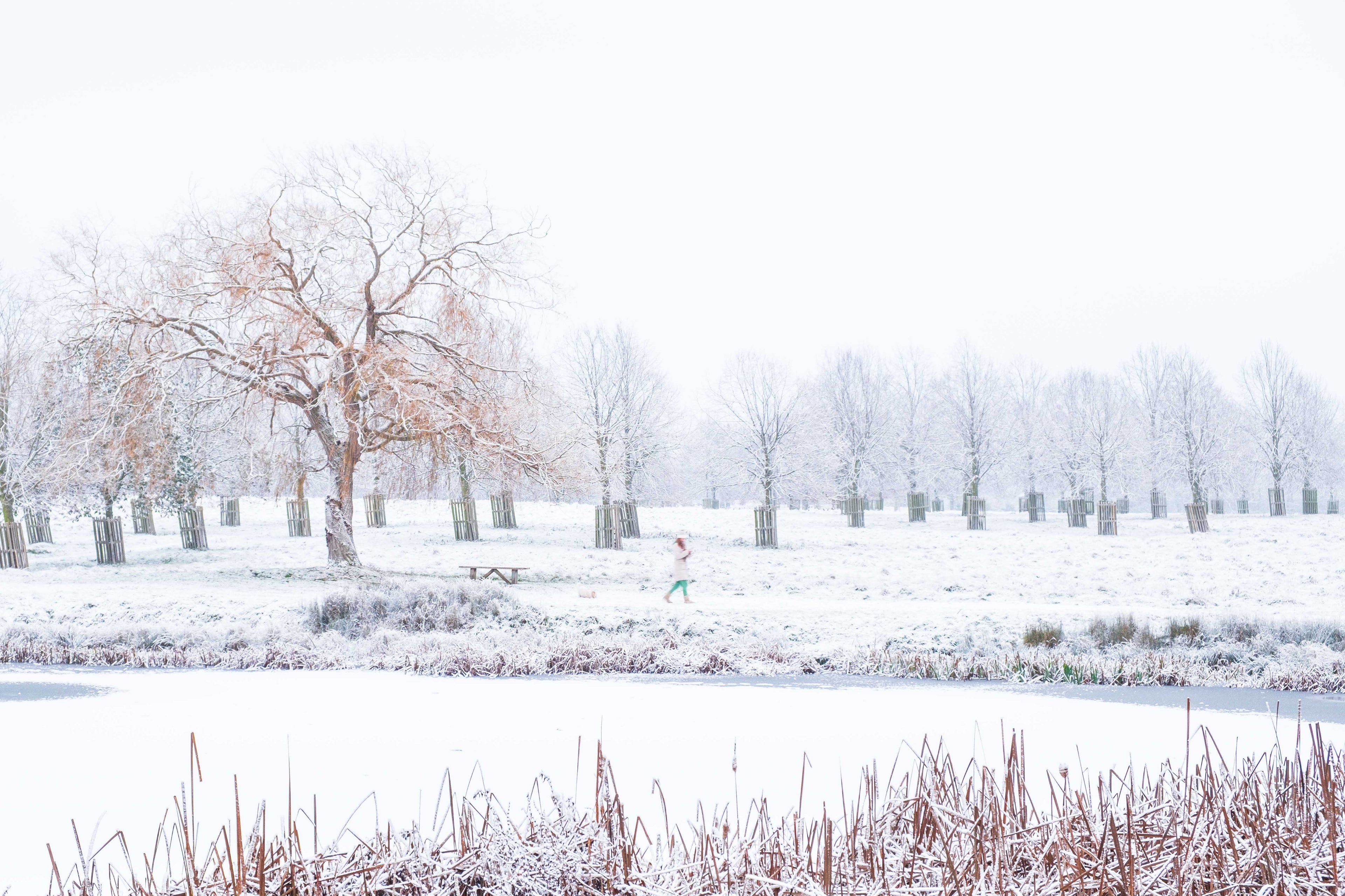 Person walking on a snow-covered path with trees and a lake in the background