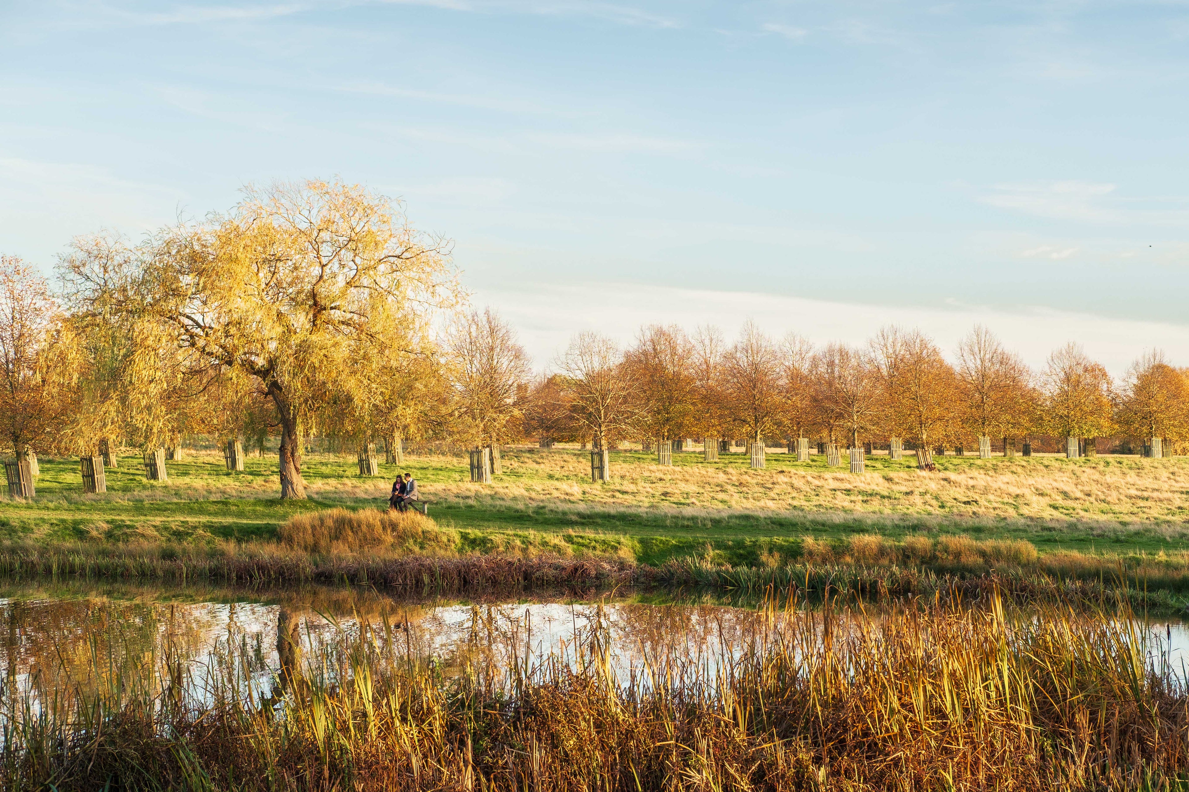 Autumn scene by a lake and trees. Two people sitting on a bench.