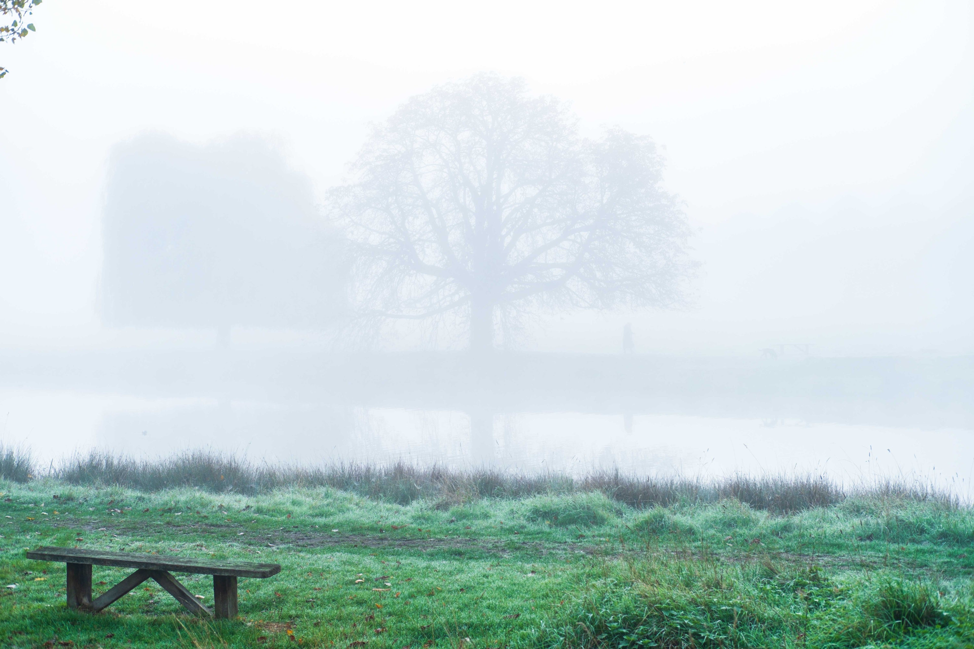 Frosty, late autumn morning by a lake. Old, wooden bench in the front, large trees in the back, a person walking under them.