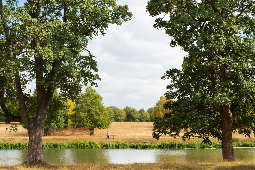 Landscape with trees, a pond, and a clear sky