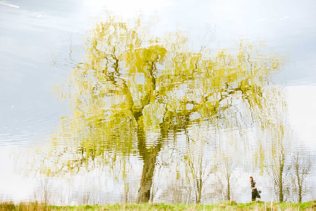 Ripples on water surface with reflections of a tree and a person running.