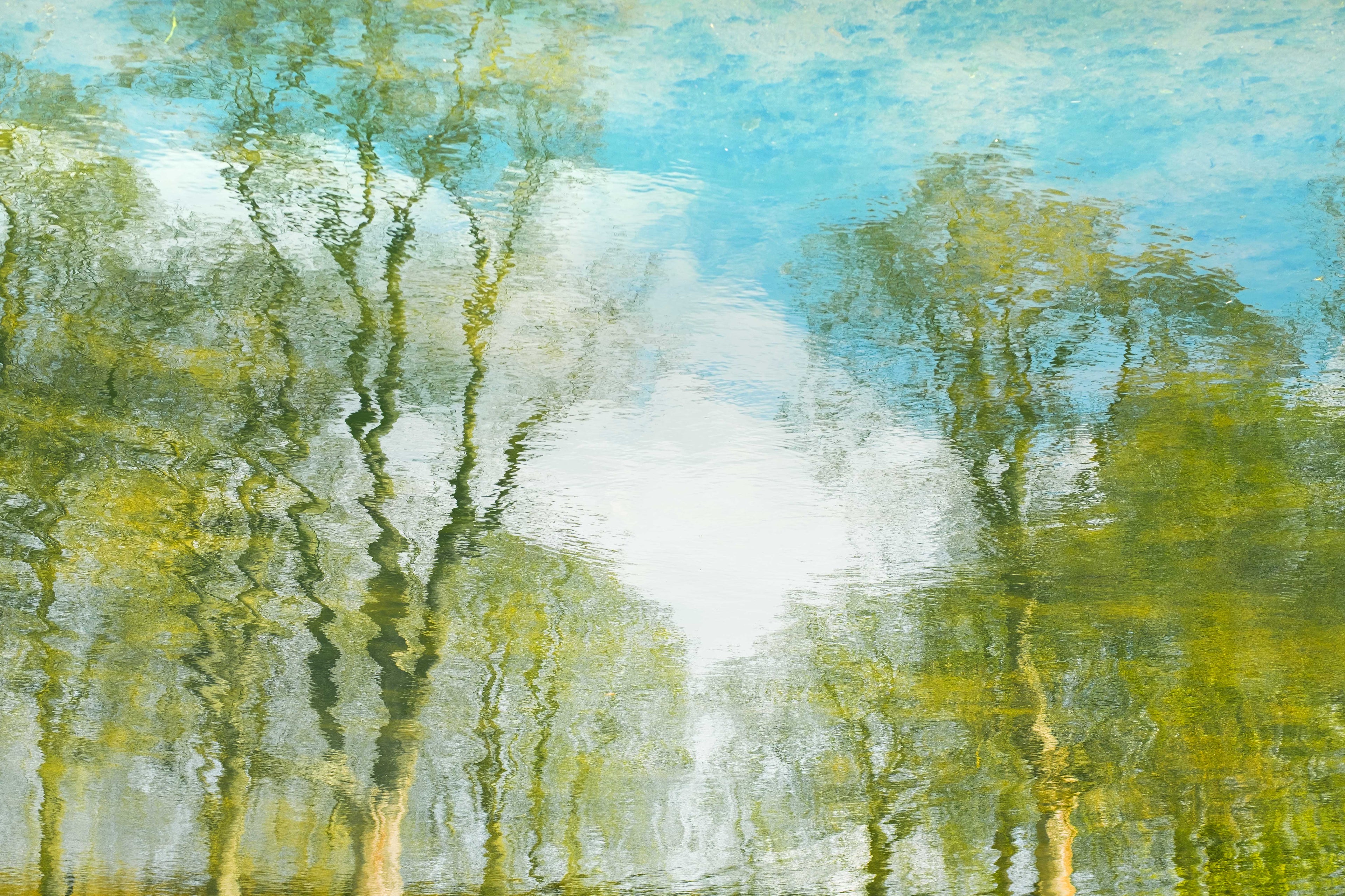 Abstract photograph with green, blue, and white colours presenting trees reflecting on a lakes' surface.