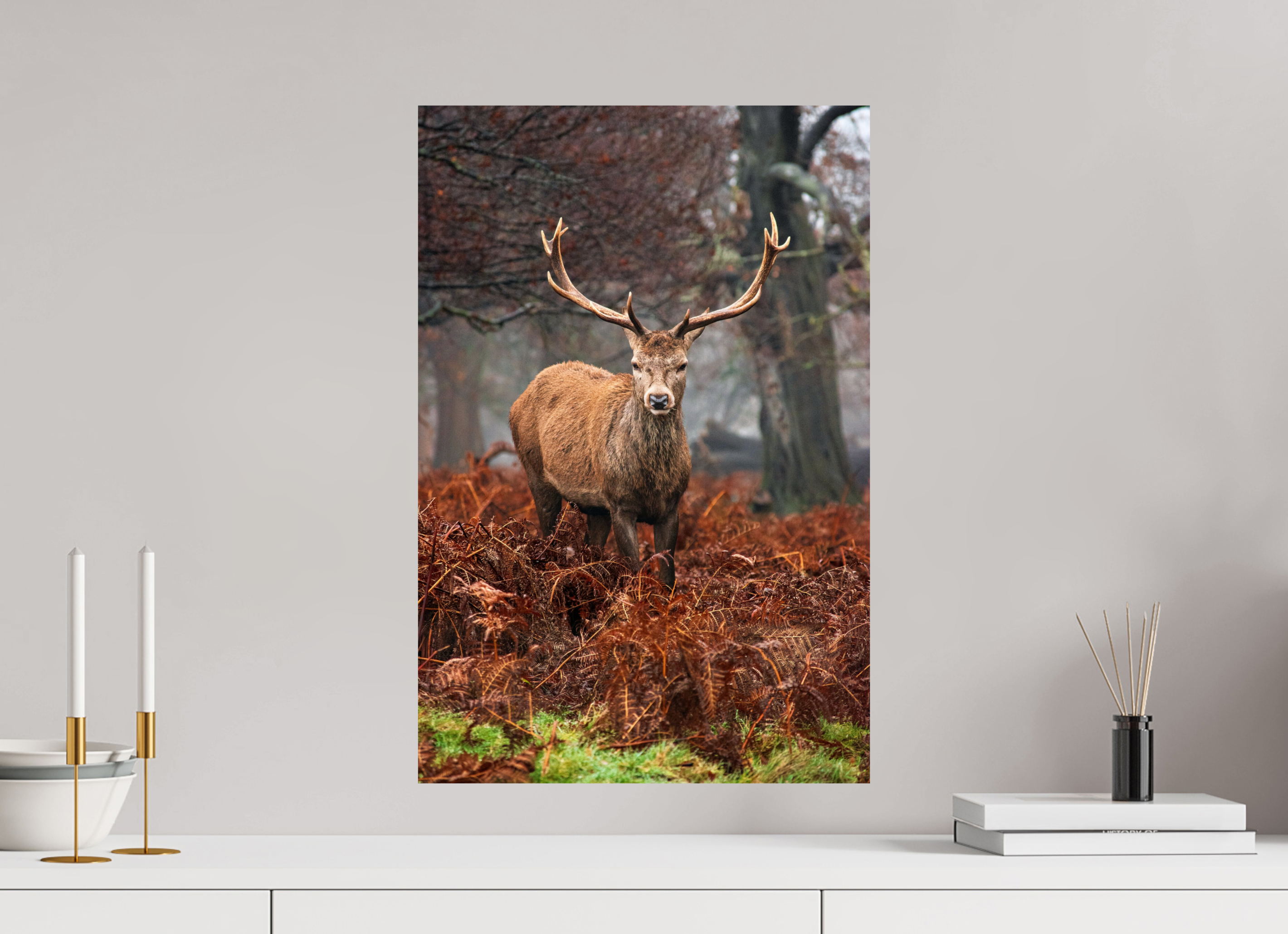 Red Deer IV.