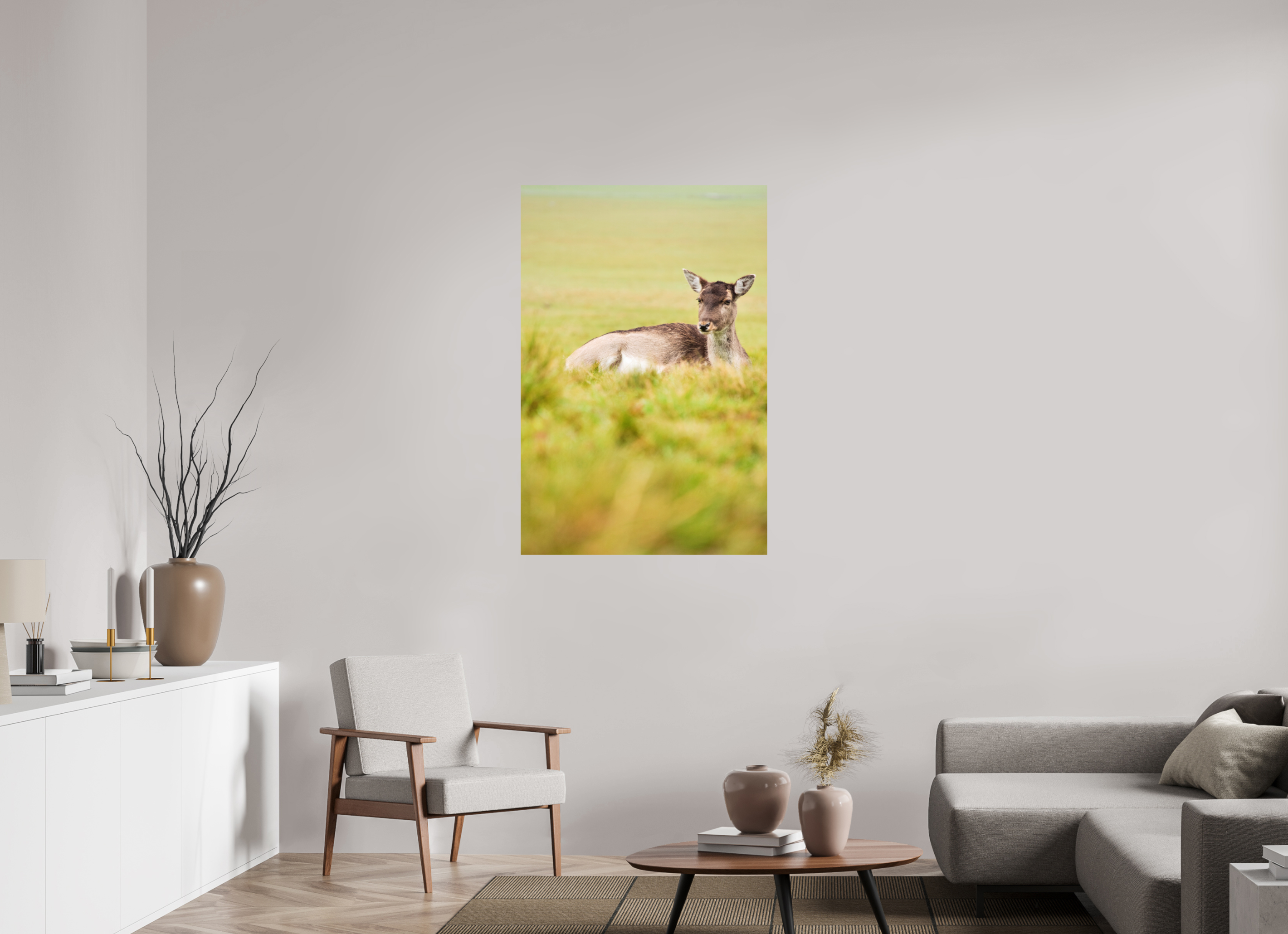 Fallow Deer I.