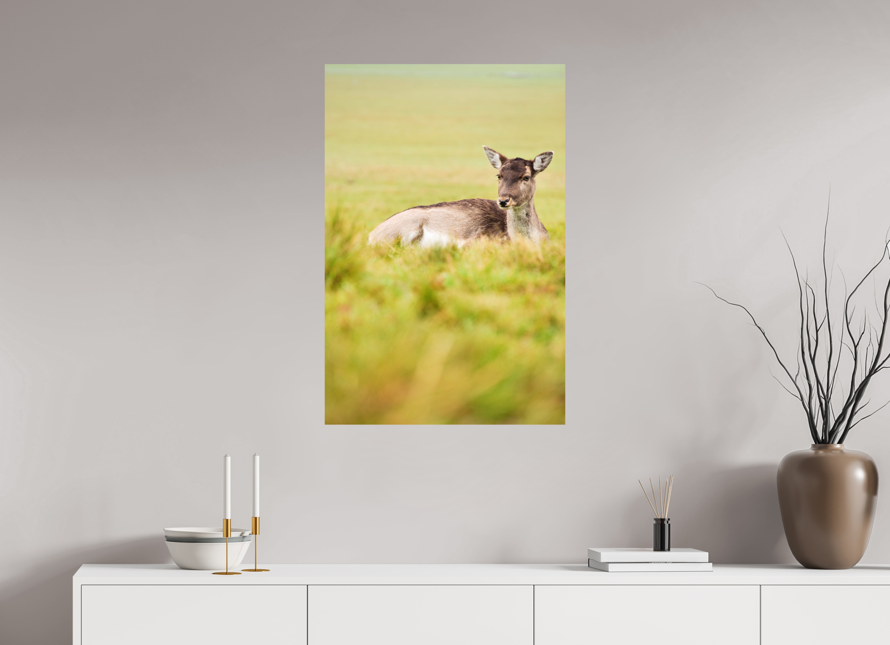 Fallow Deer I.