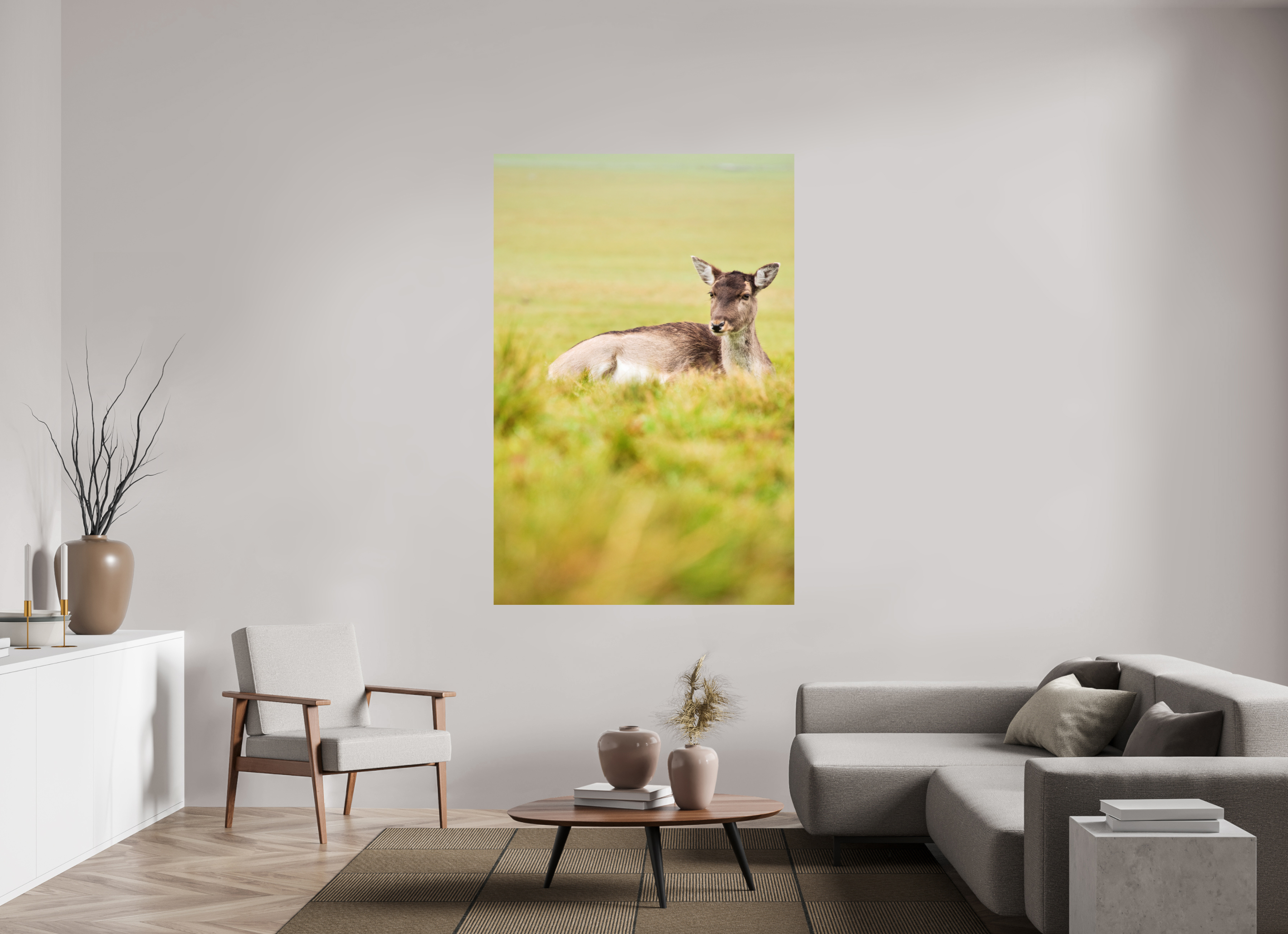 Fallow Deer I.