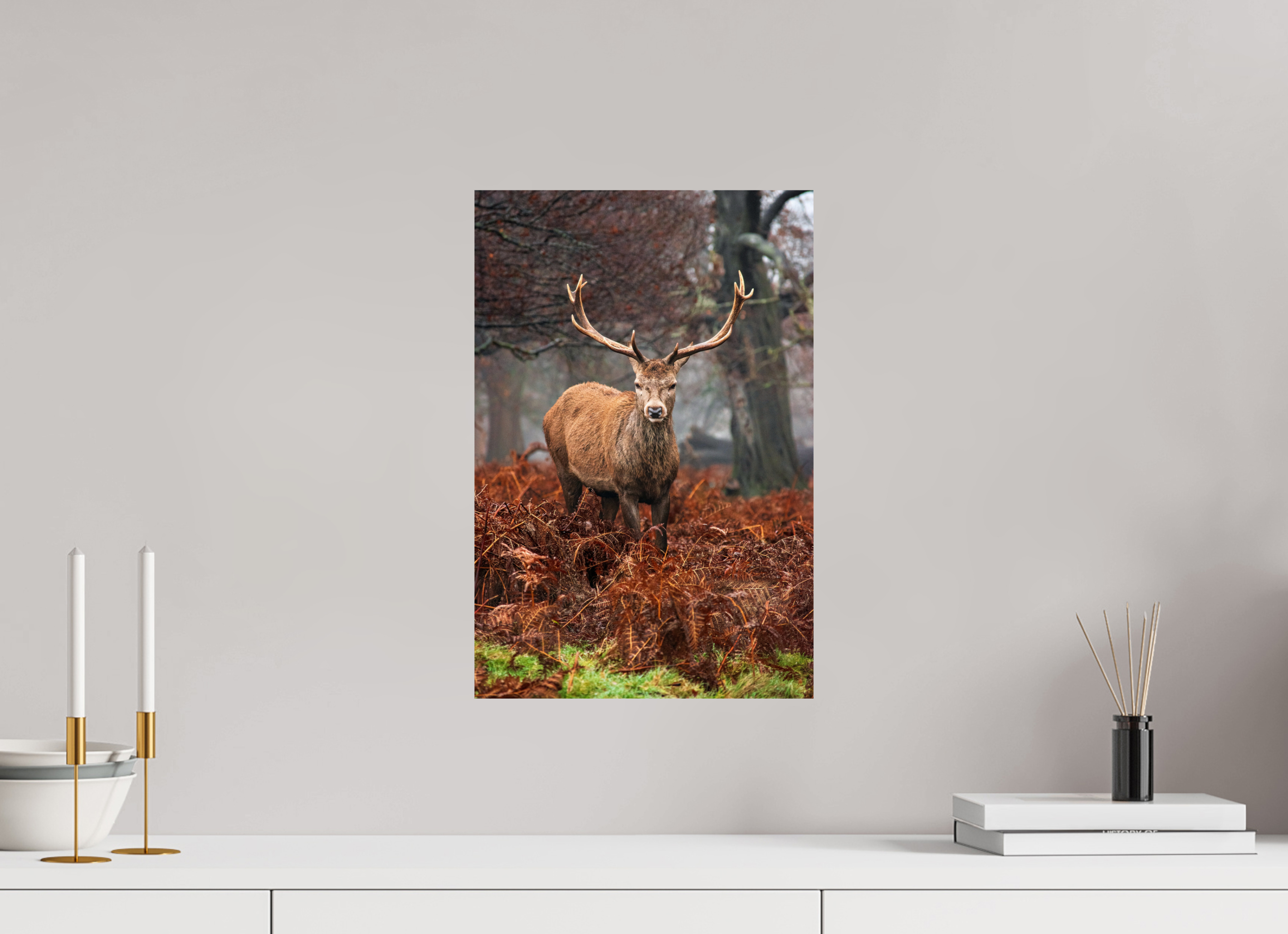 Red Deer IV.